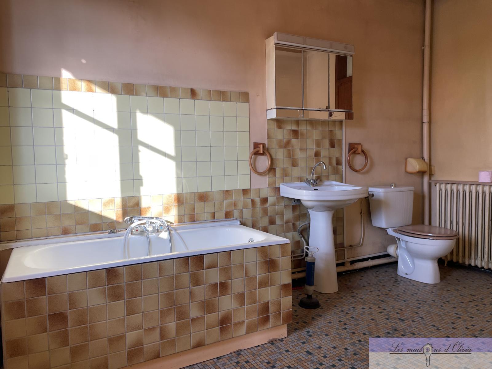 Image_5, Maison, Sucy-en-Brie, ref :94370270