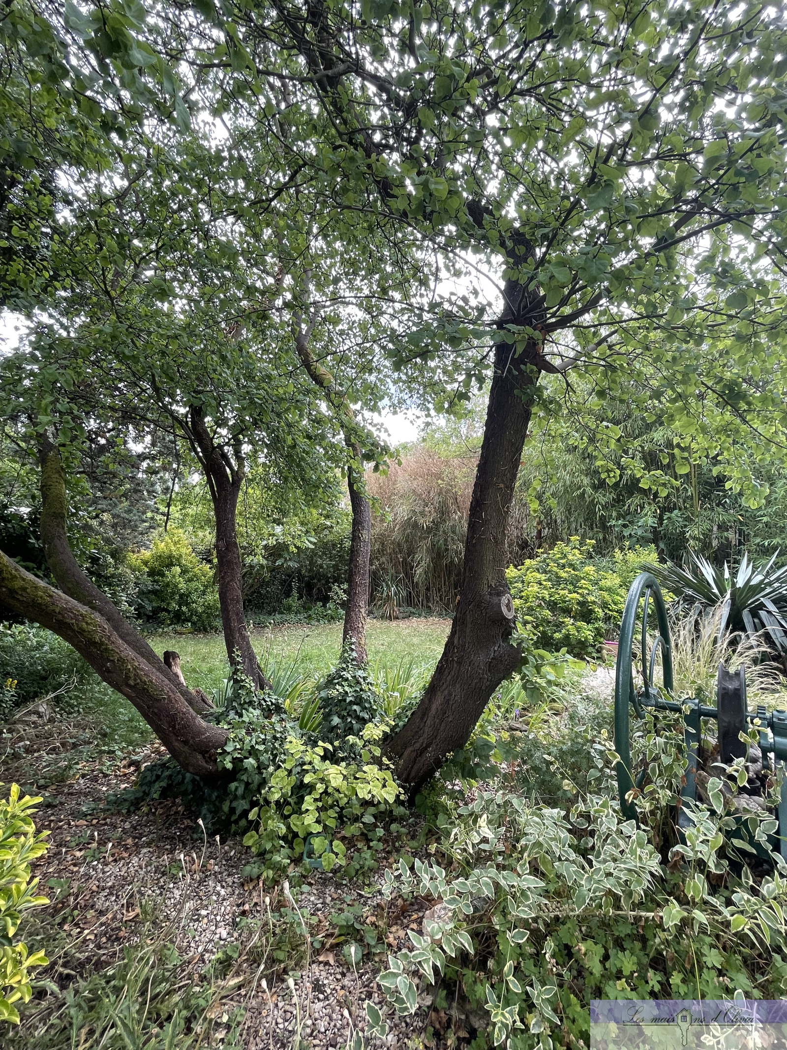 Image_11, Maison, Sucy-en-Brie, ref :94370278