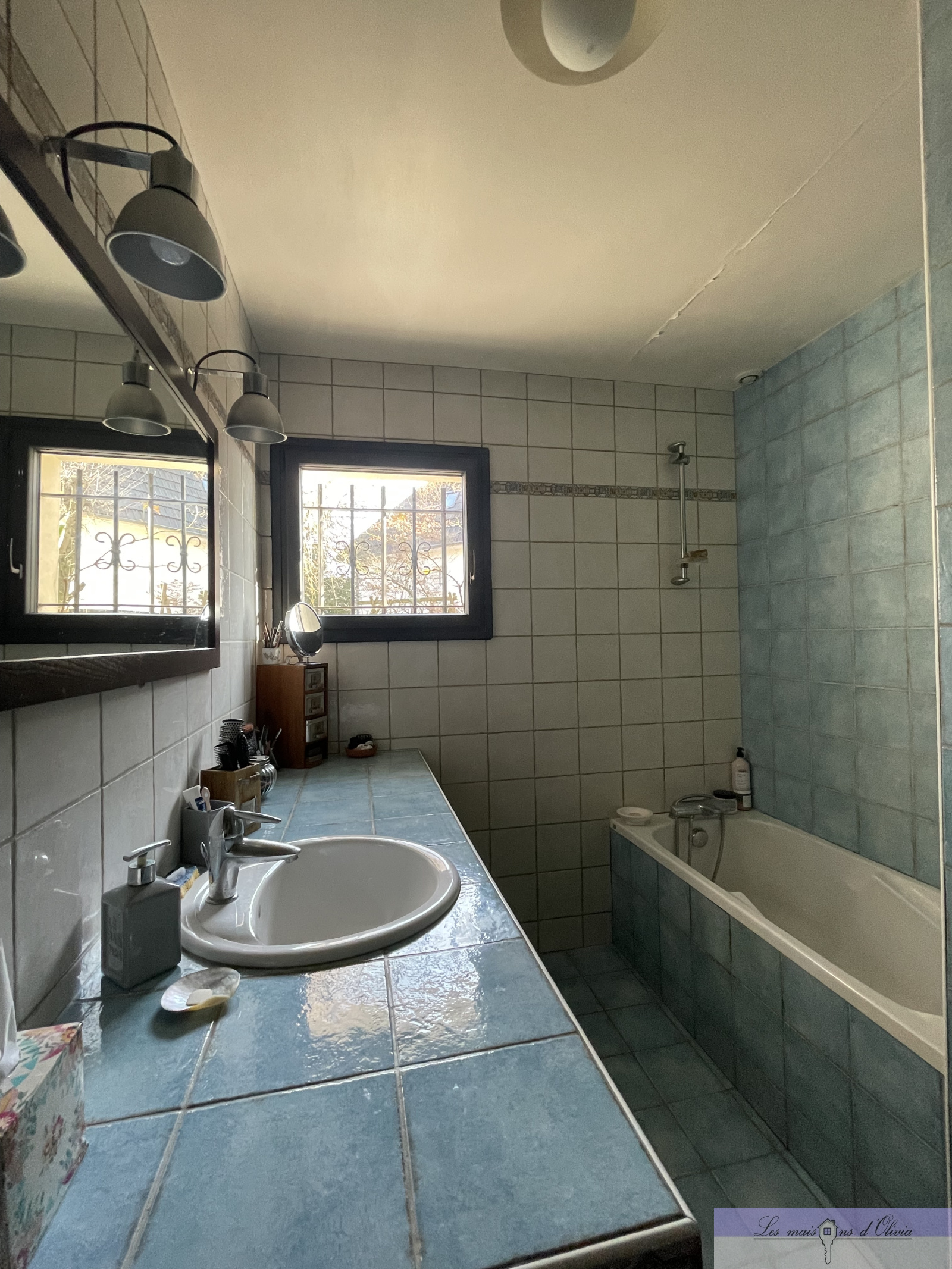 Image_7, Maison, Sucy-en-Brie, ref :94370329