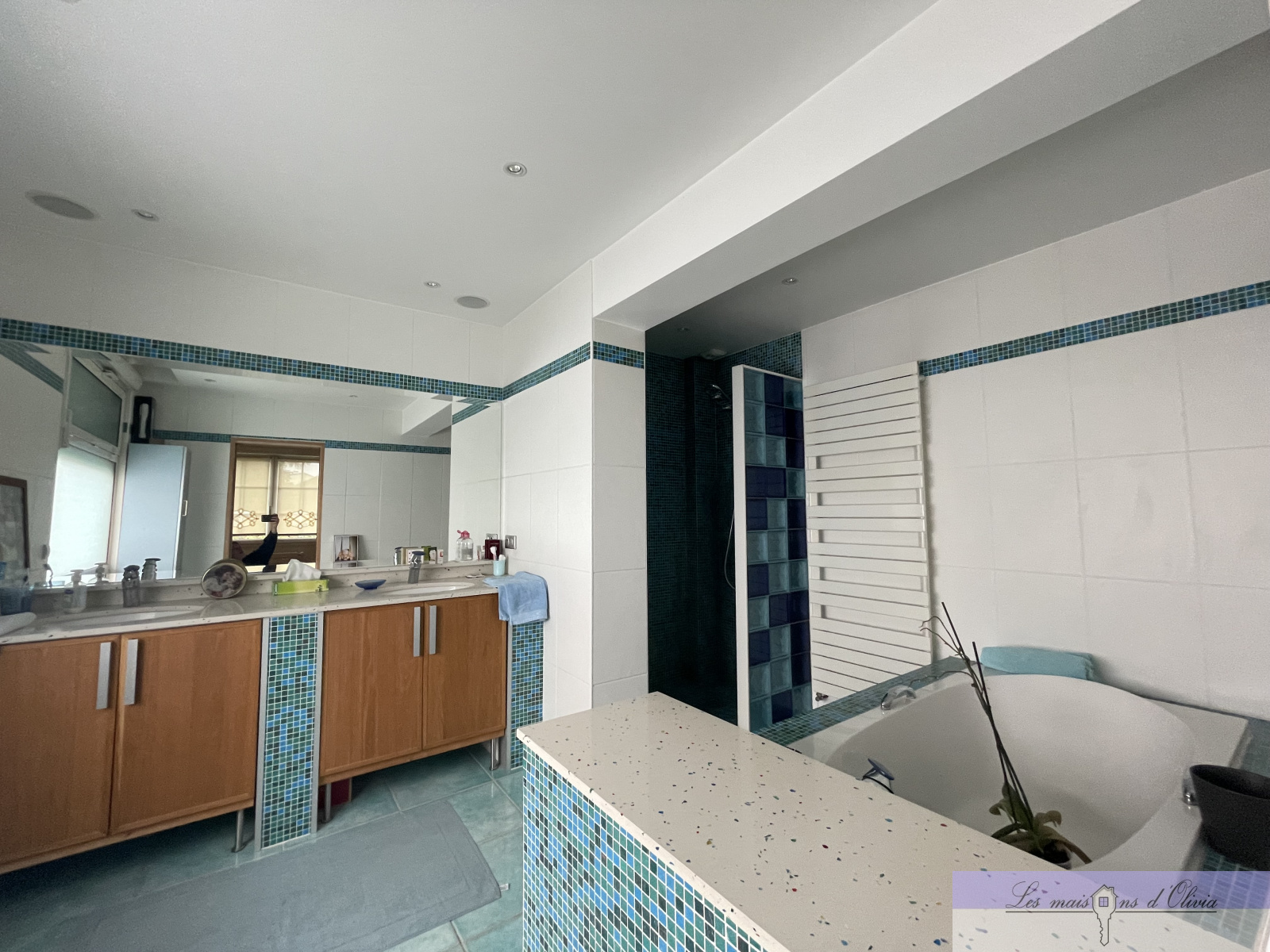 Image_6, Maison, Sucy-en-Brie, ref :94370266